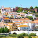 Cegonha do Arade Boat Trip to Silves | Feel & Discover Algarve - Image 6