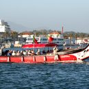 Cegonha do Arade Boat Trip to Silves | Feel & Discover Algarve - Image 5